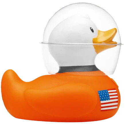 NASA SEWP VI Duck